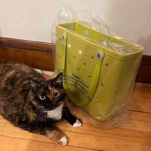 Baby Bogg Bag in Green Apple